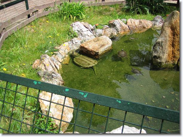 Diapositiva siguiente